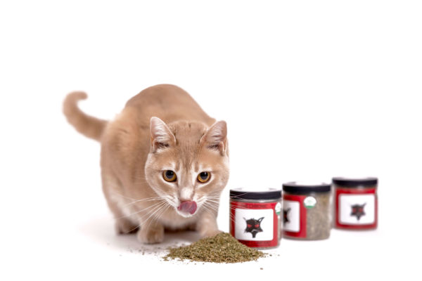 Crippler Catnippler Custom Chronic Blend - Image 4